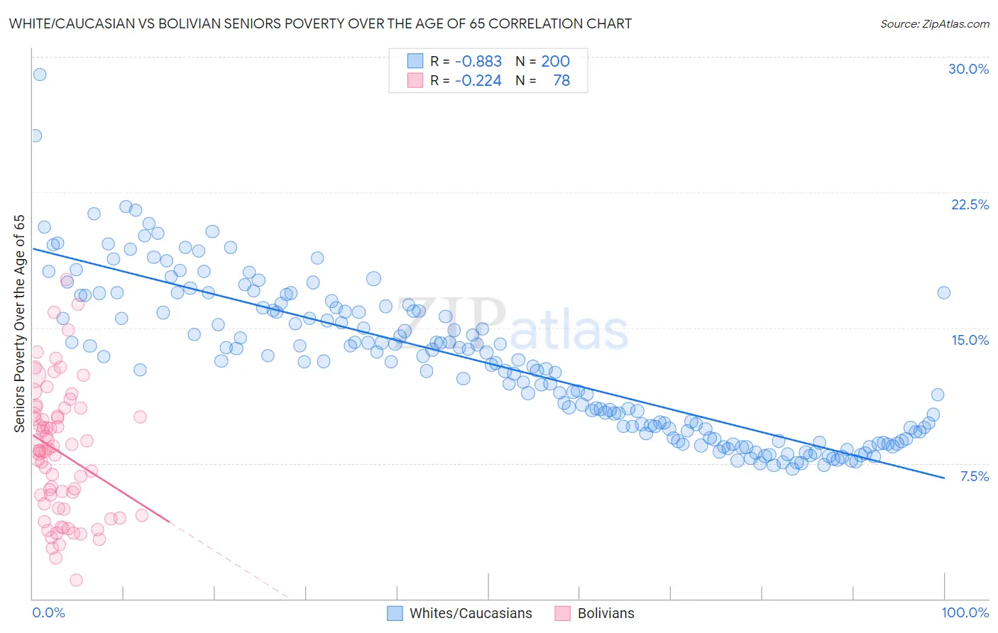 White/Caucasian vs Bolivian Seniors Poverty Over the Age of 65