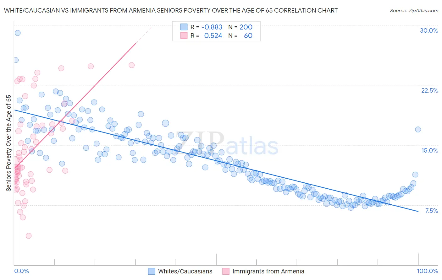 White/Caucasian vs Immigrants from Armenia Seniors Poverty Over the Age of 65