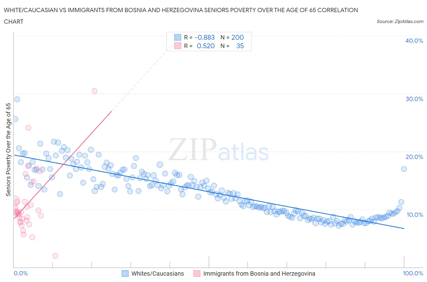 White/Caucasian vs Immigrants from Bosnia and Herzegovina Seniors Poverty Over the Age of 65