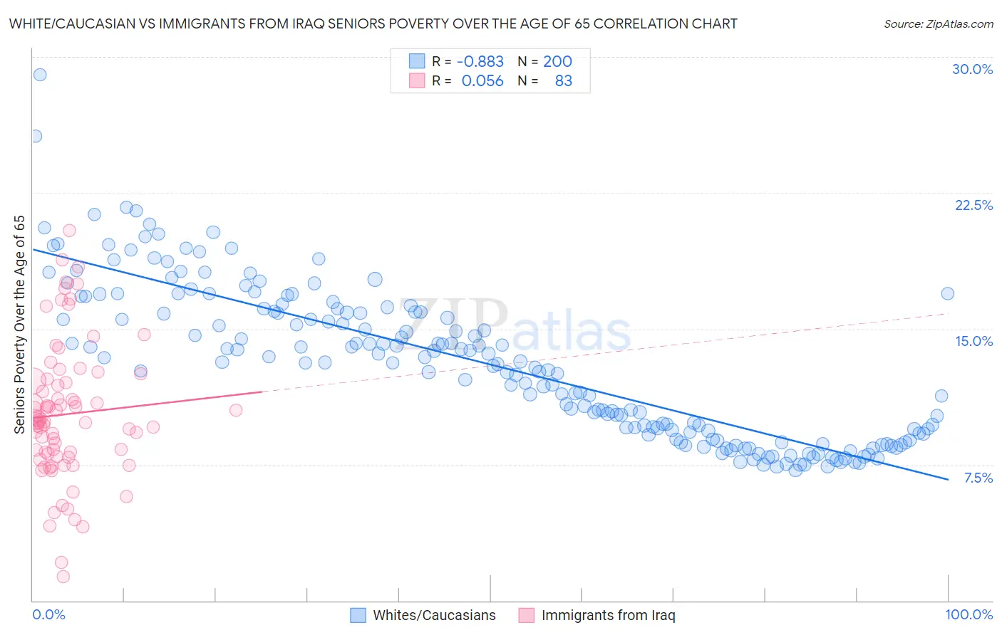 White/Caucasian vs Immigrants from Iraq Seniors Poverty Over the Age of 65