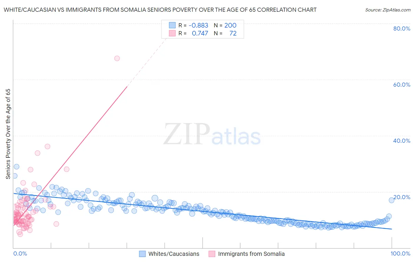White/Caucasian vs Immigrants from Somalia Seniors Poverty Over the Age of 65