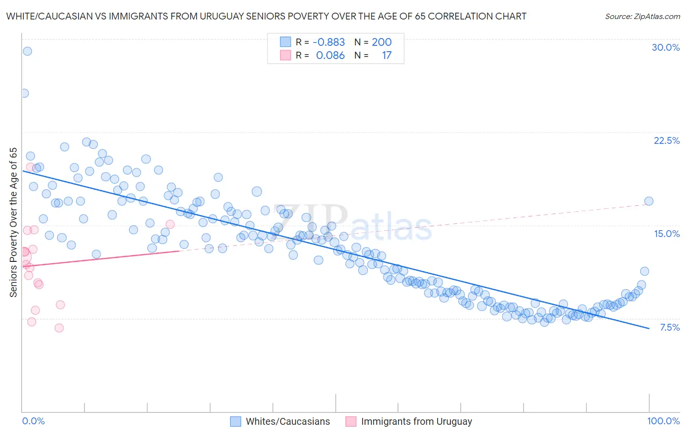 White/Caucasian vs Immigrants from Uruguay Seniors Poverty Over the Age of 65