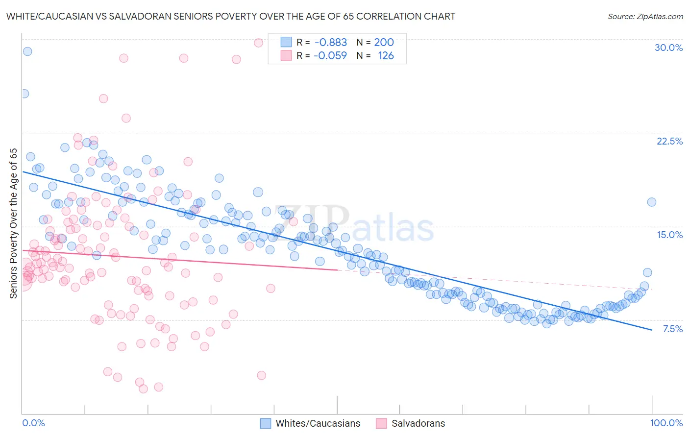 White/Caucasian vs Salvadoran Seniors Poverty Over the Age of 65