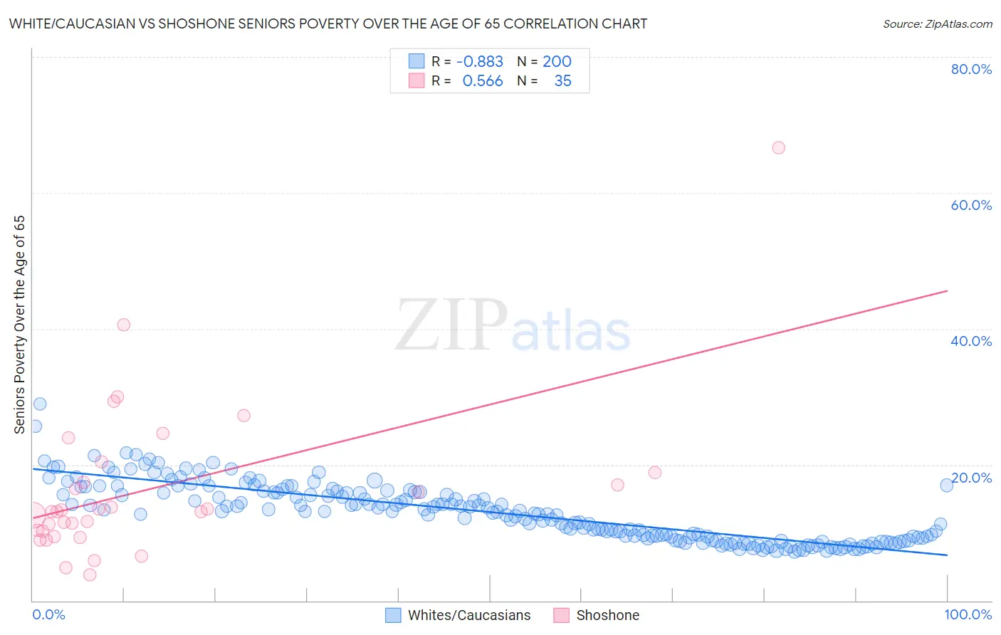 White/Caucasian vs Shoshone Seniors Poverty Over the Age of 65