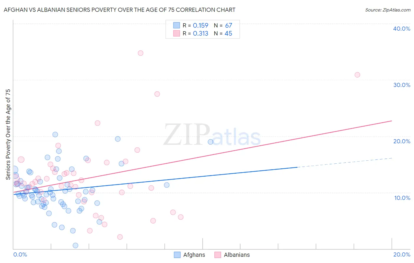 Afghan vs Albanian Seniors Poverty Over the Age of 75
