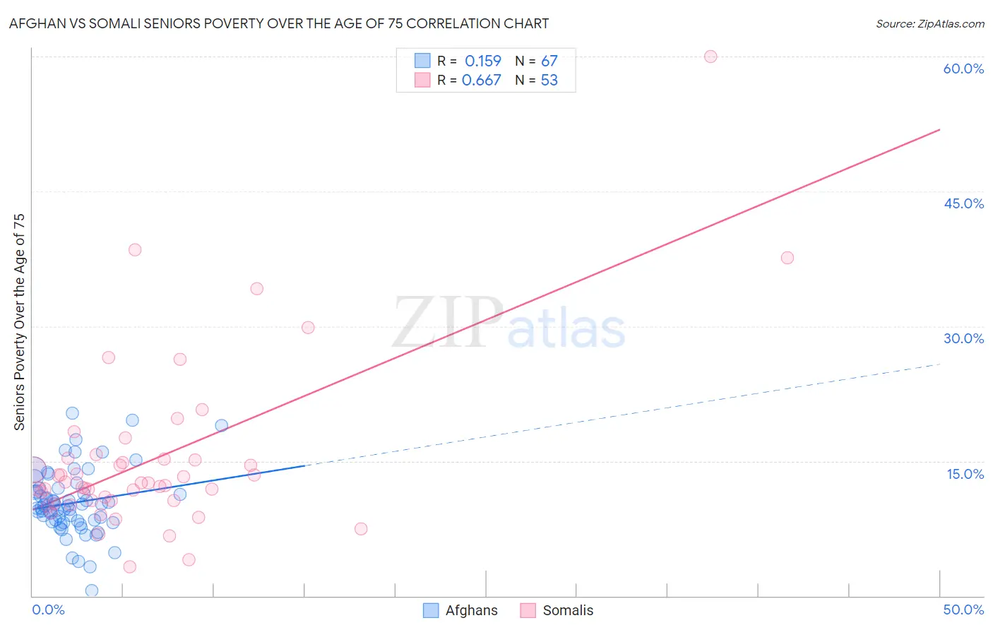 Afghan vs Somali Seniors Poverty Over the Age of 75
