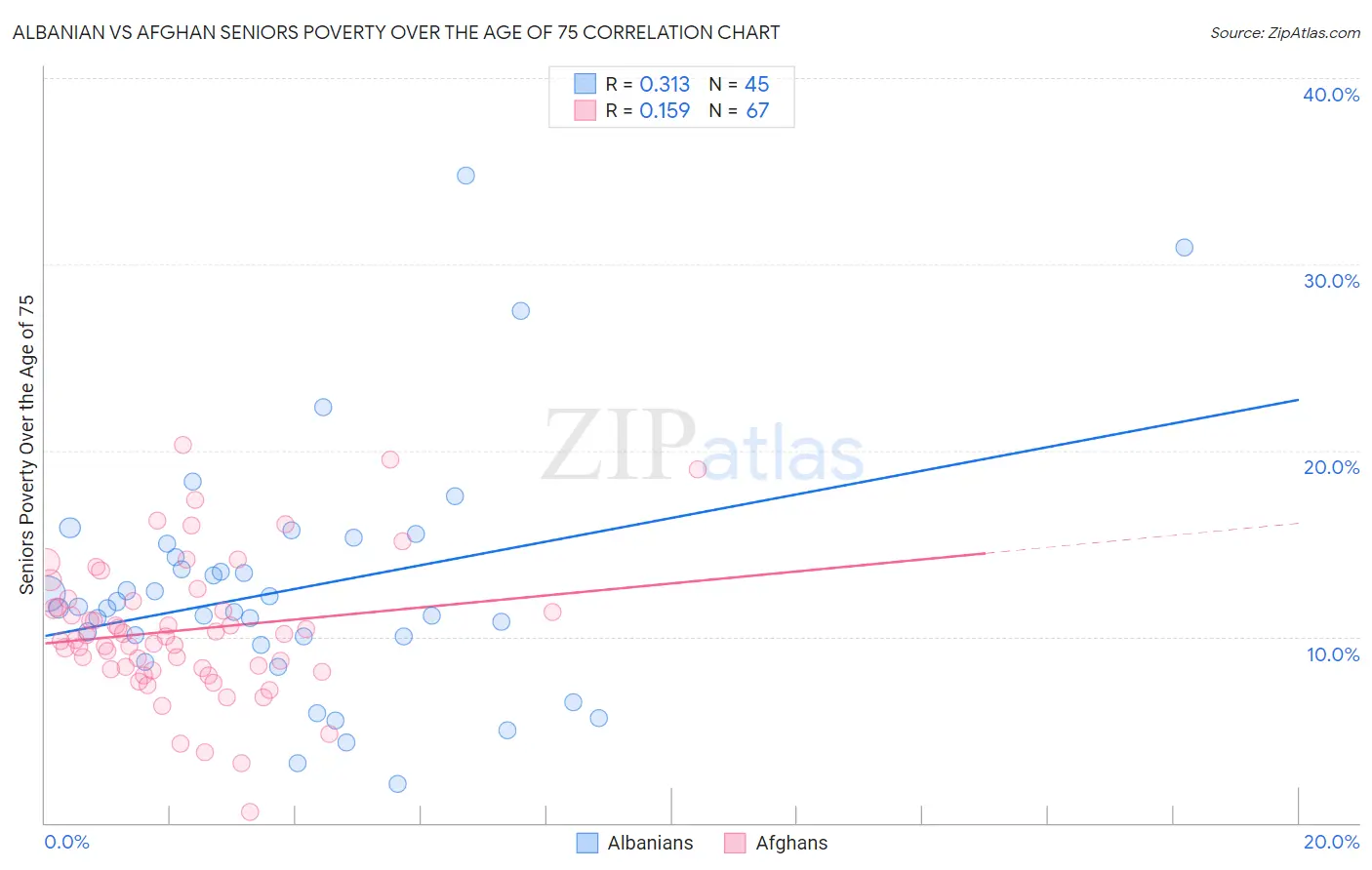 Albanian vs Afghan Seniors Poverty Over the Age of 75