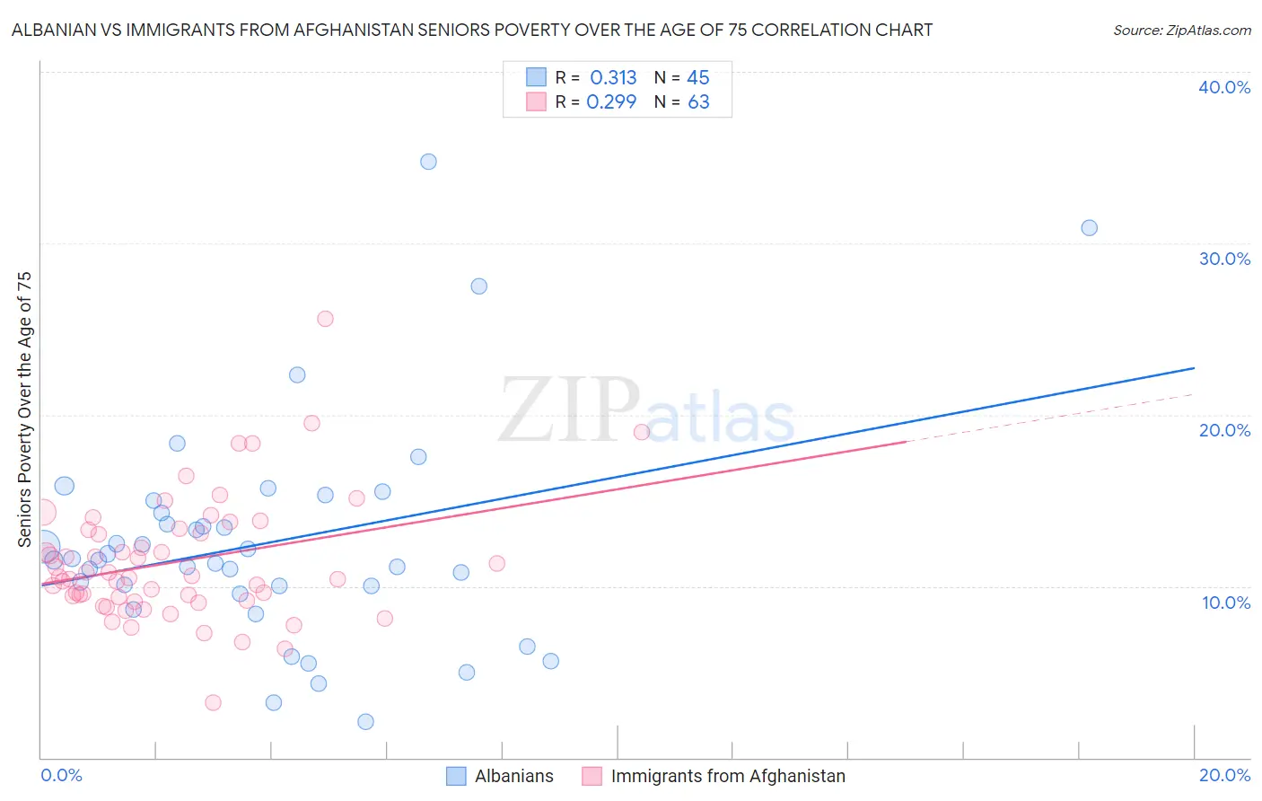 Albanian vs Immigrants from Afghanistan Seniors Poverty Over the Age of 75