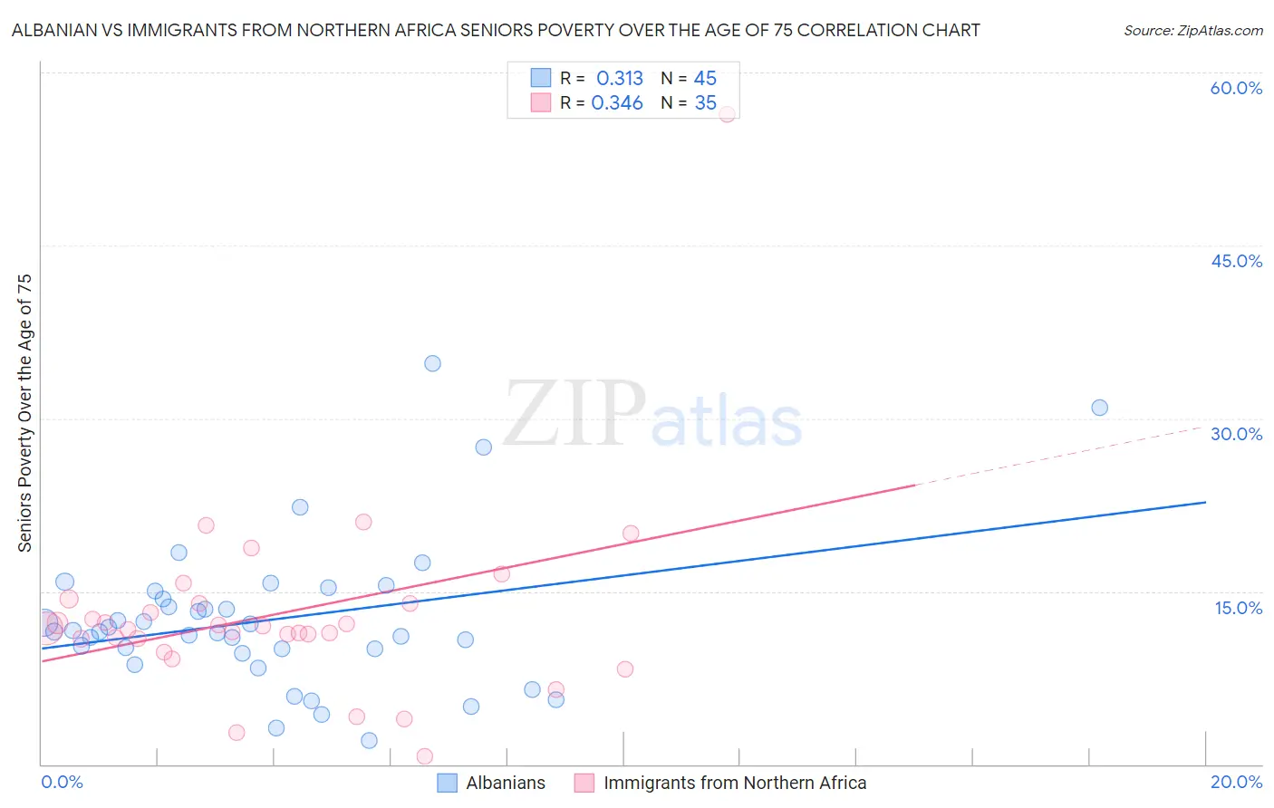 Albanian vs Immigrants from Northern Africa Seniors Poverty Over the Age of 75
