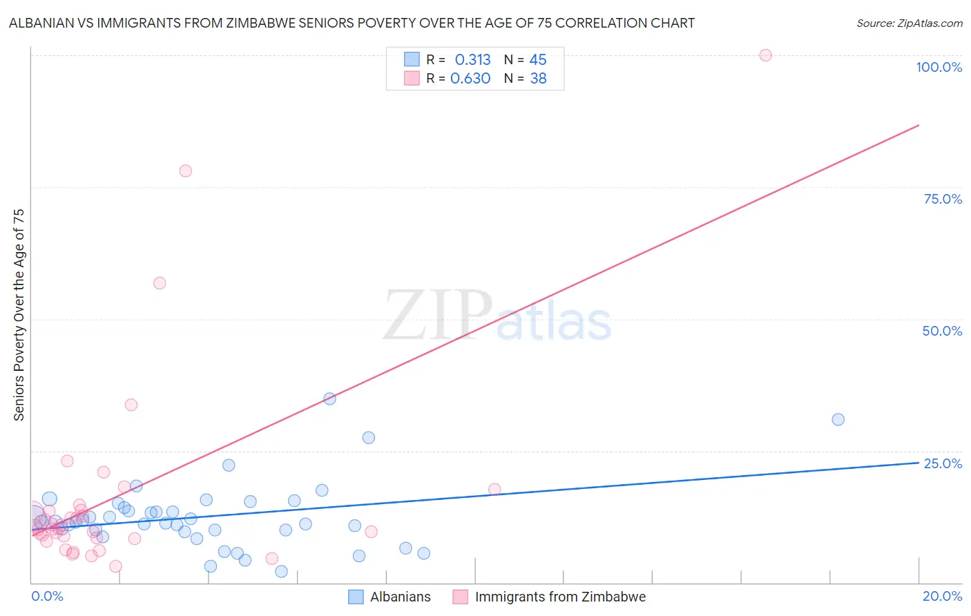 Albanian vs Immigrants from Zimbabwe Seniors Poverty Over the Age of 75