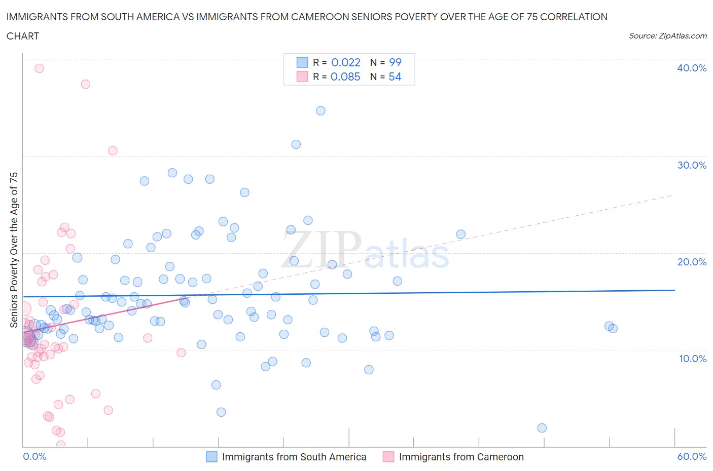 Immigrants from South America vs Immigrants from Cameroon Seniors Poverty Over the Age of 75