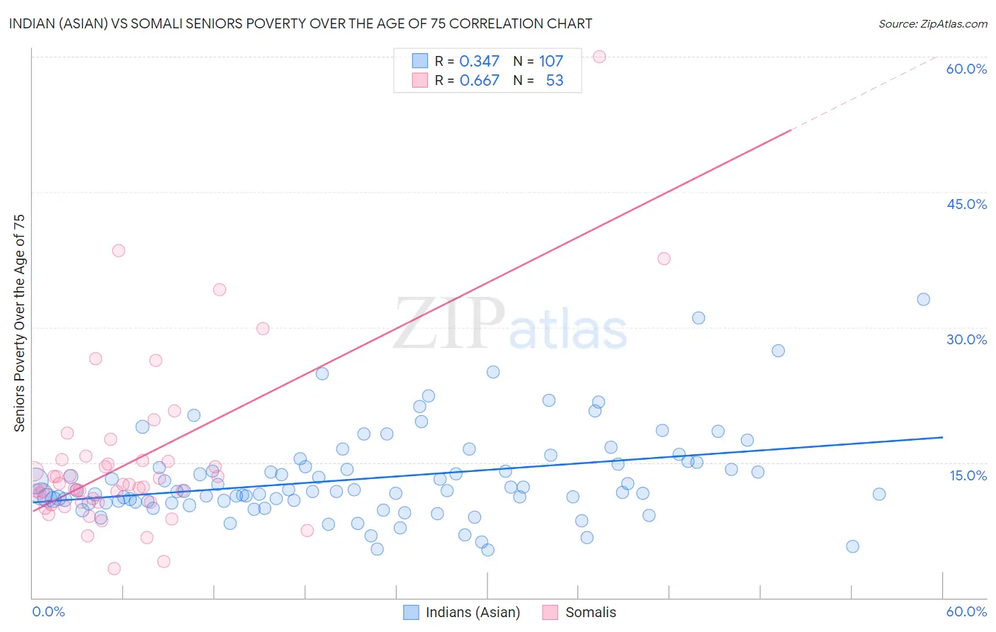 Indian (Asian) vs Somali Seniors Poverty Over the Age of 75