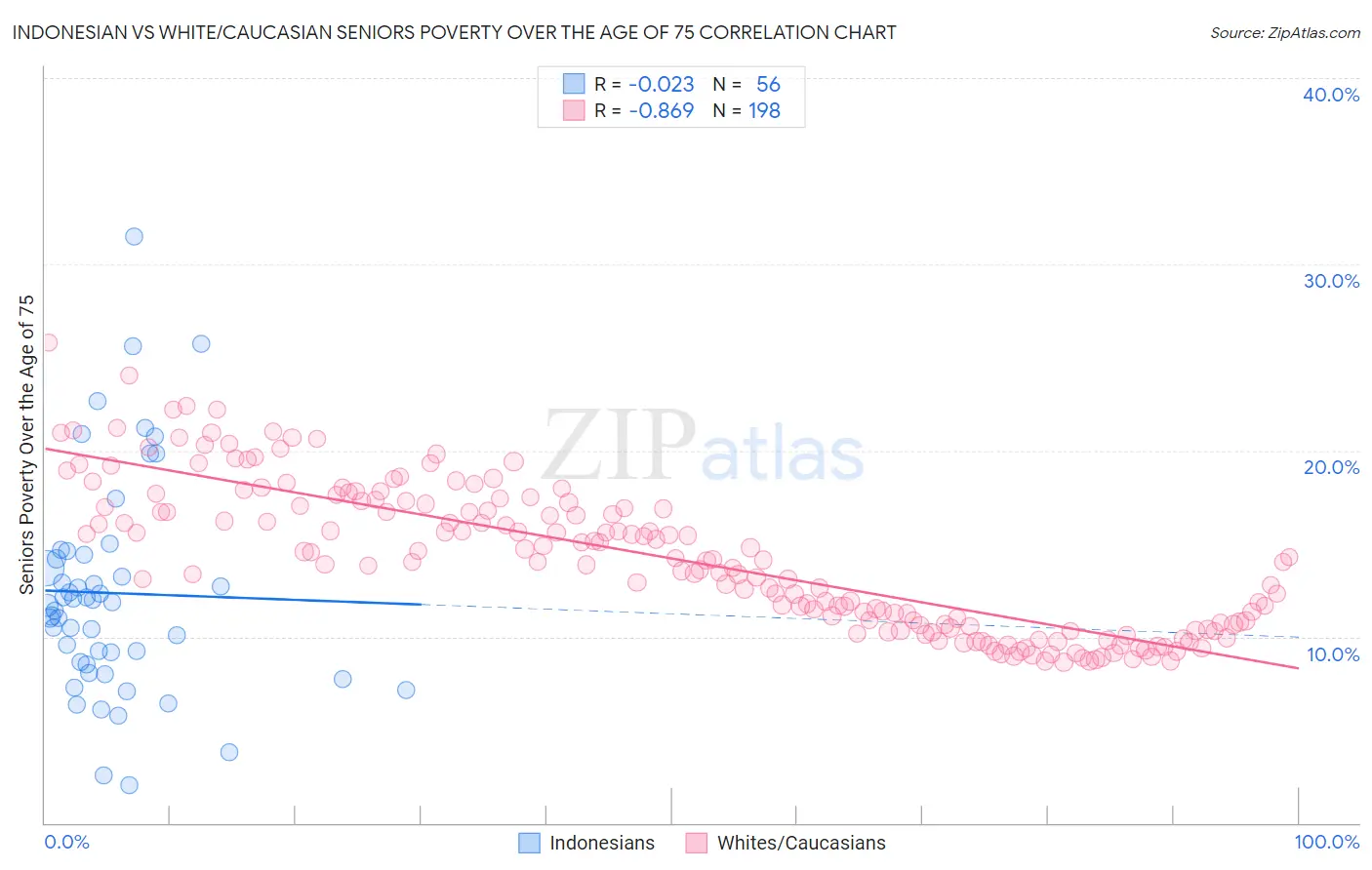 Indonesian vs White/Caucasian Seniors Poverty Over the Age of 75