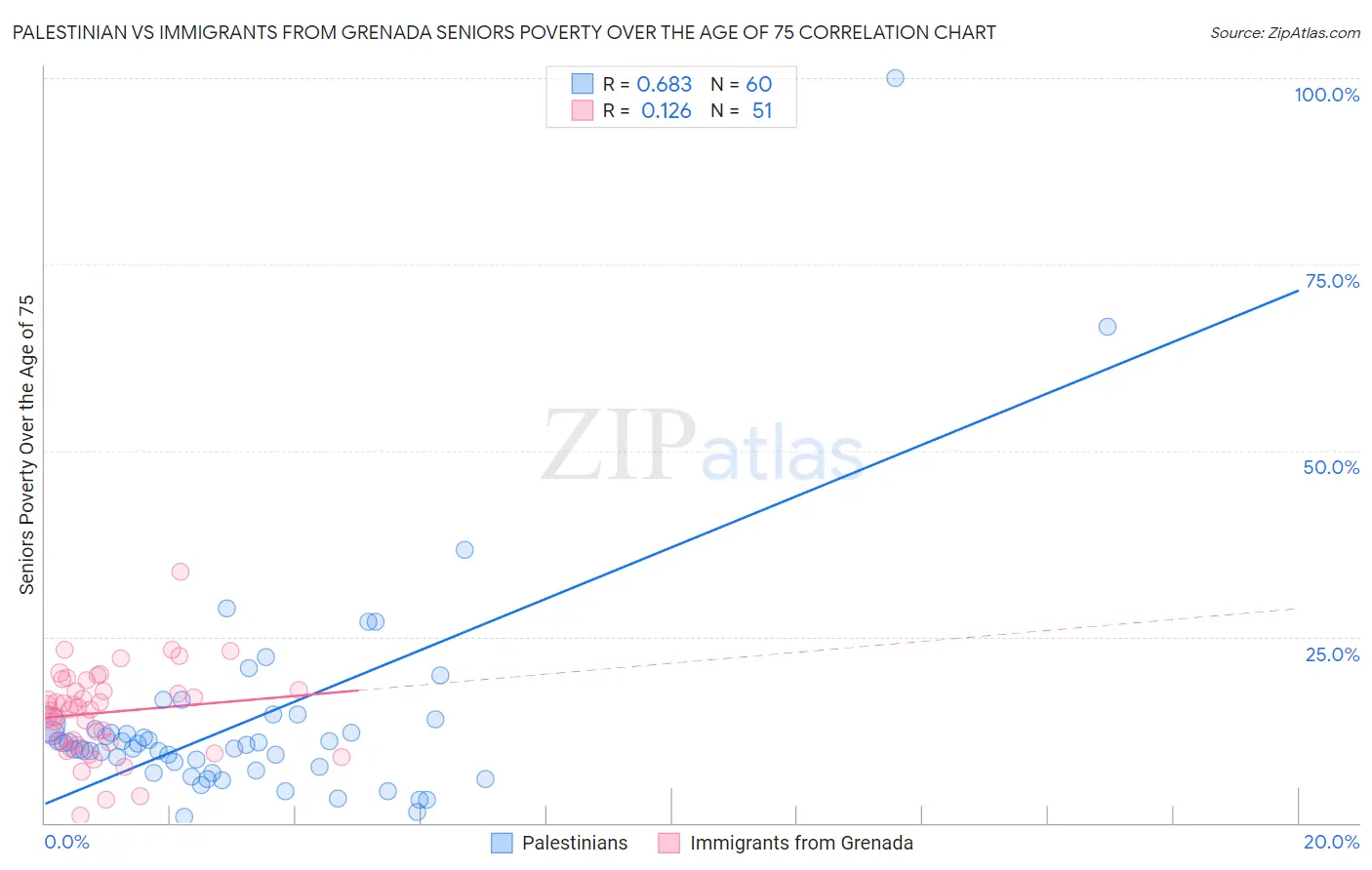 Palestinian vs Immigrants from Grenada Seniors Poverty Over the Age of 75