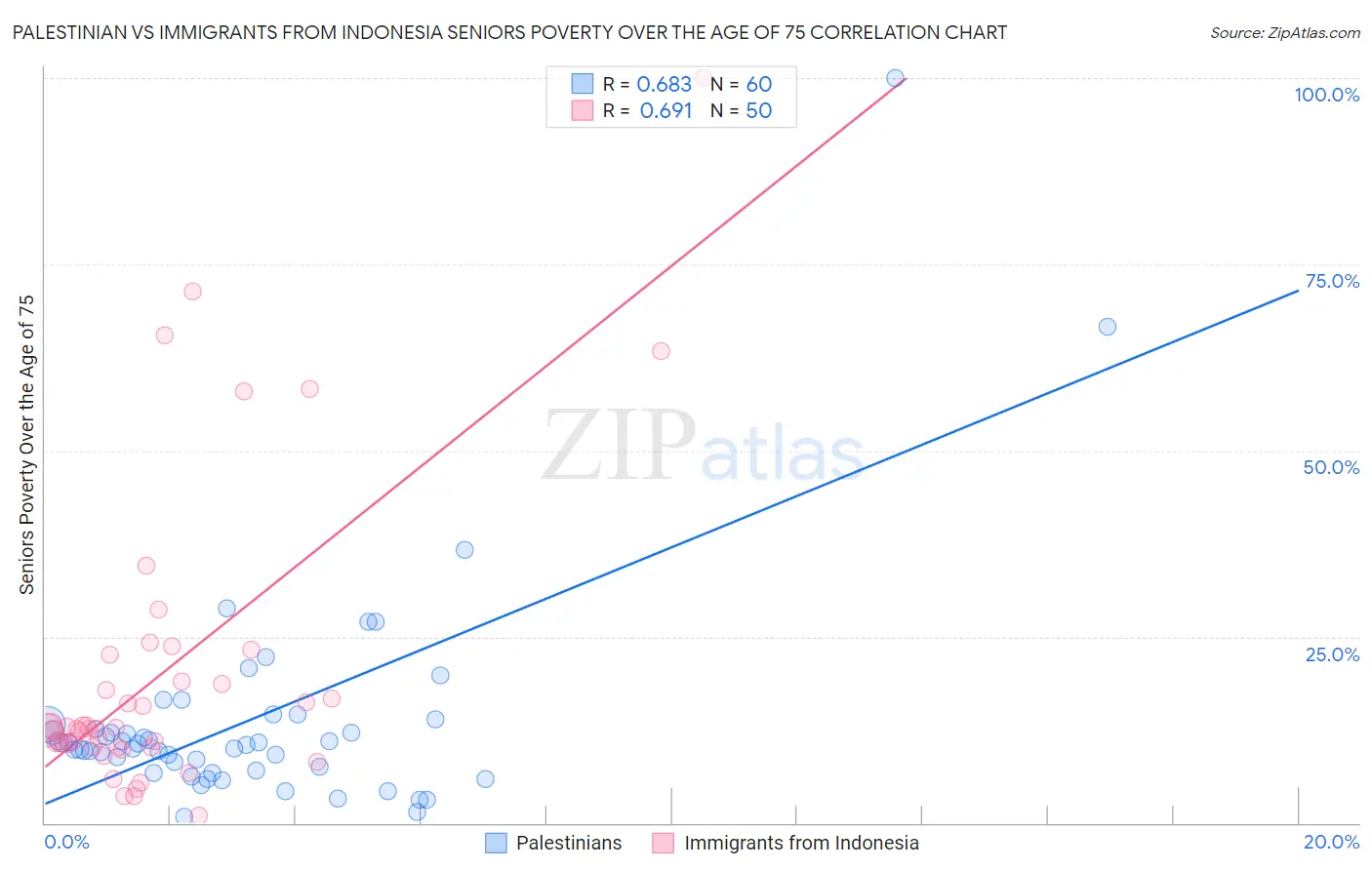 Palestinian vs Immigrants from Indonesia Seniors Poverty Over the Age of 75