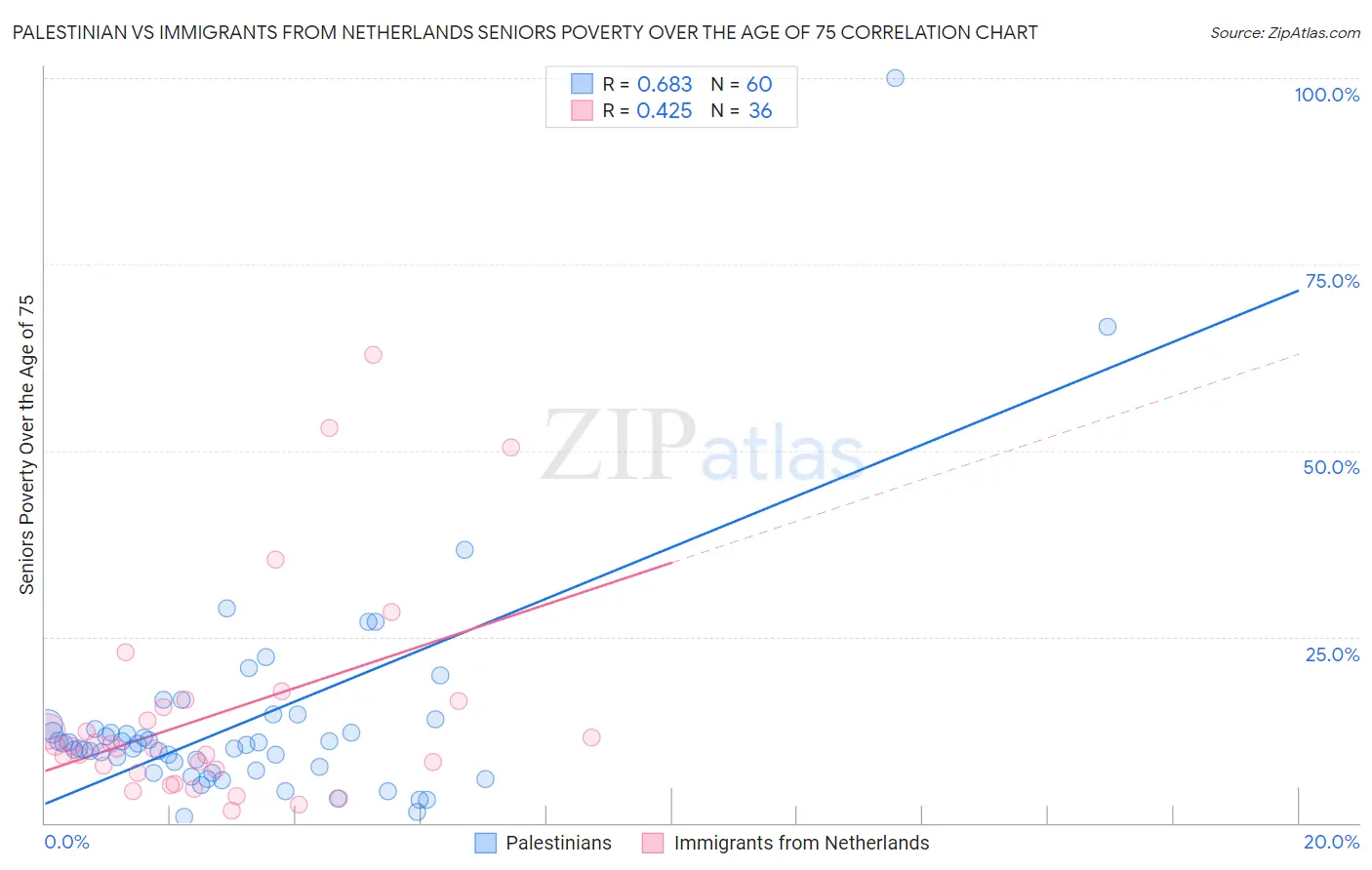 Palestinian vs Immigrants from Netherlands Seniors Poverty Over the Age of 75