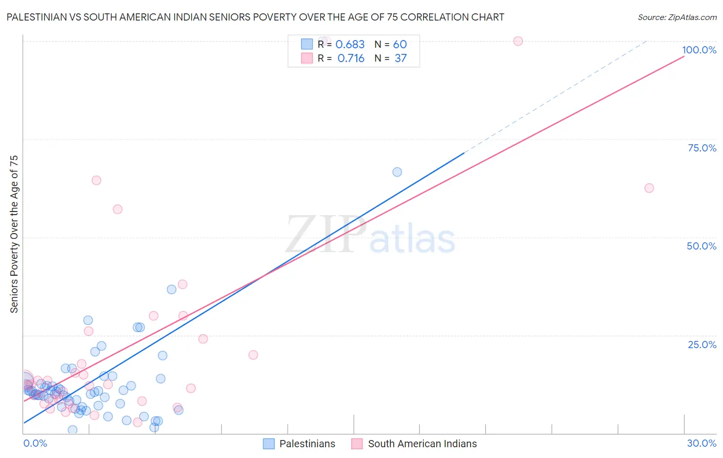 Palestinian vs South American Indian Seniors Poverty Over the Age of 75