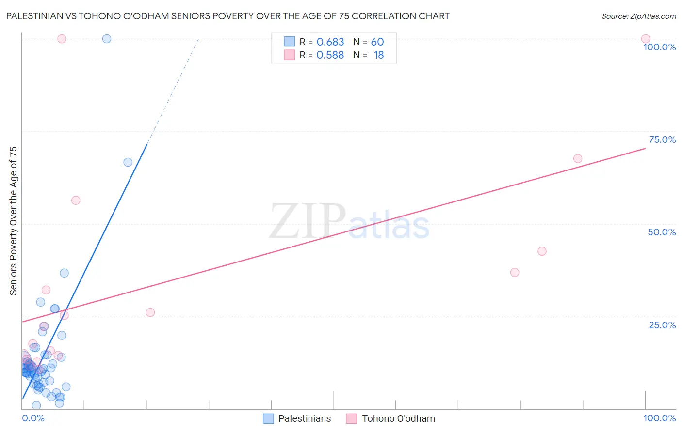 Palestinian vs Tohono O'odham Seniors Poverty Over the Age of 75