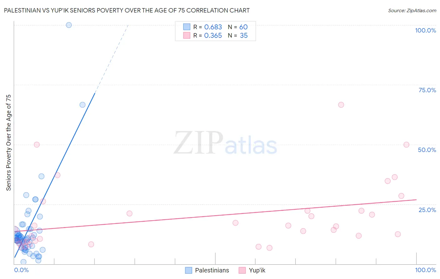 Palestinian vs Yup'ik Seniors Poverty Over the Age of 75