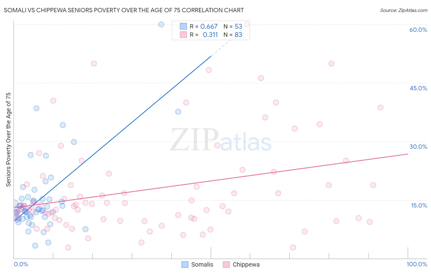 Somali vs Chippewa Seniors Poverty Over the Age of 75