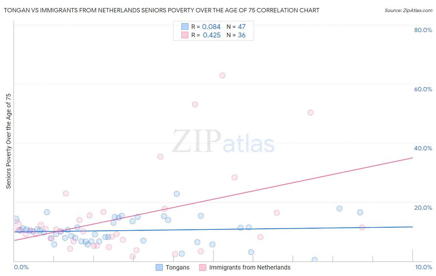 Tongan vs Immigrants from Netherlands Seniors Poverty Over the Age of 75