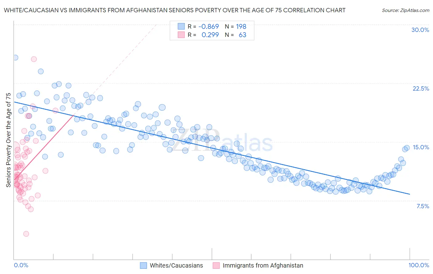 White/Caucasian vs Immigrants from Afghanistan Seniors Poverty Over the Age of 75