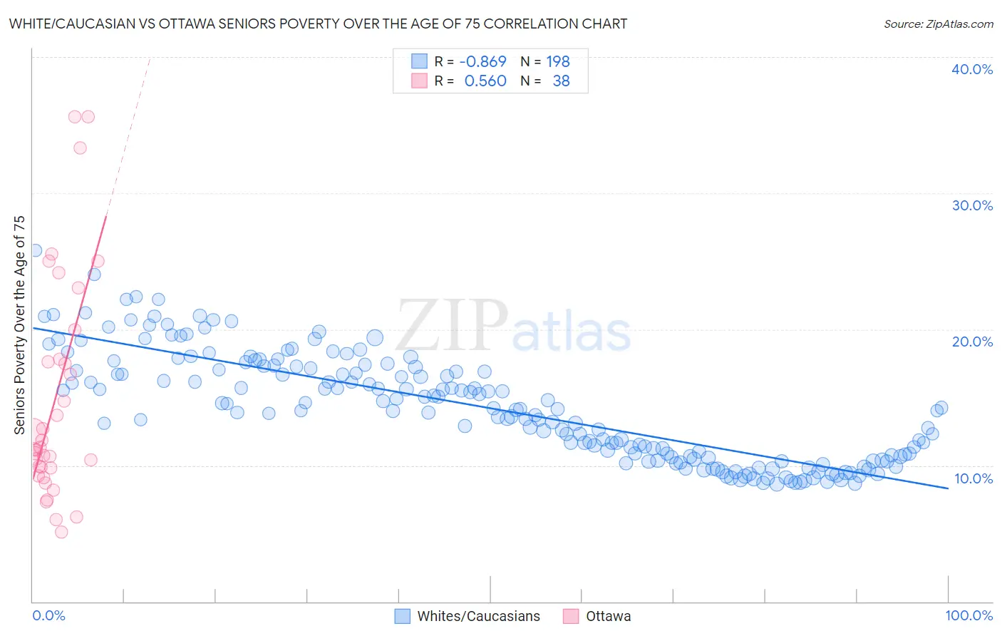 White/Caucasian vs Ottawa Seniors Poverty Over the Age of 75