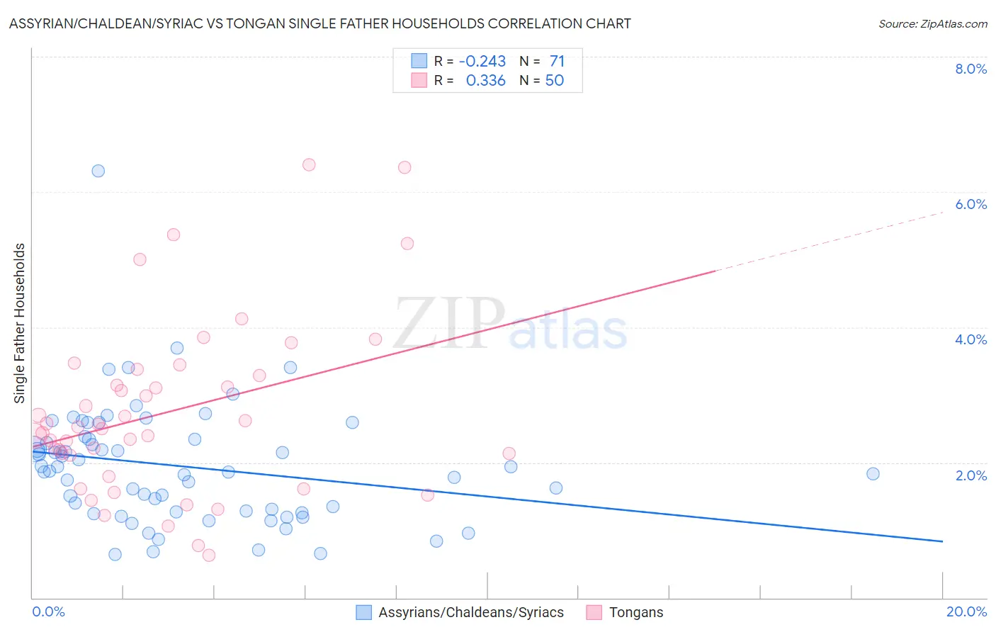 Assyrian/Chaldean/Syriac vs Tongan Single Father Households