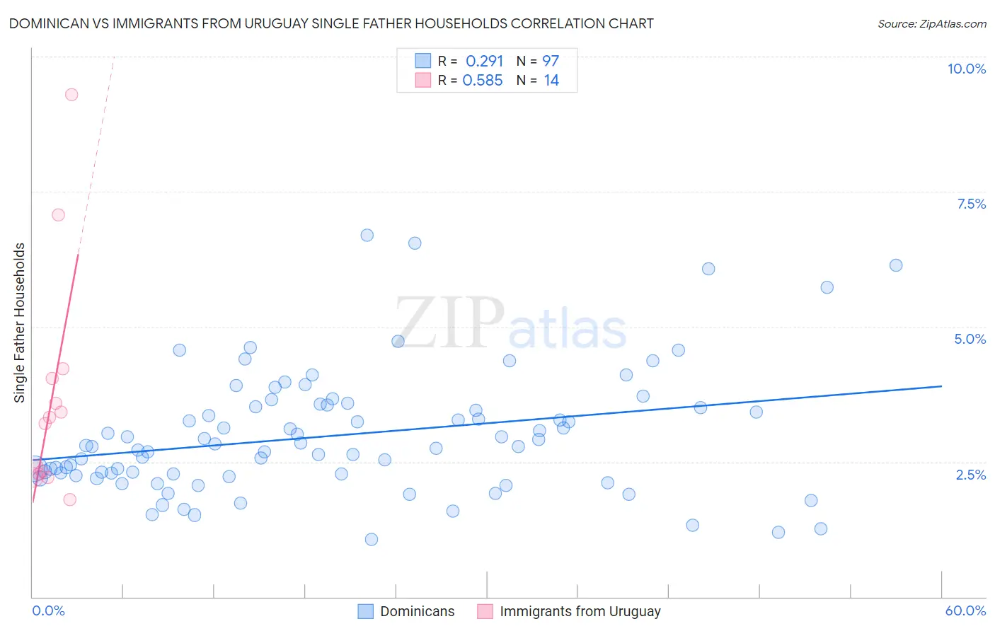 Dominican vs Immigrants from Uruguay Single Father Households