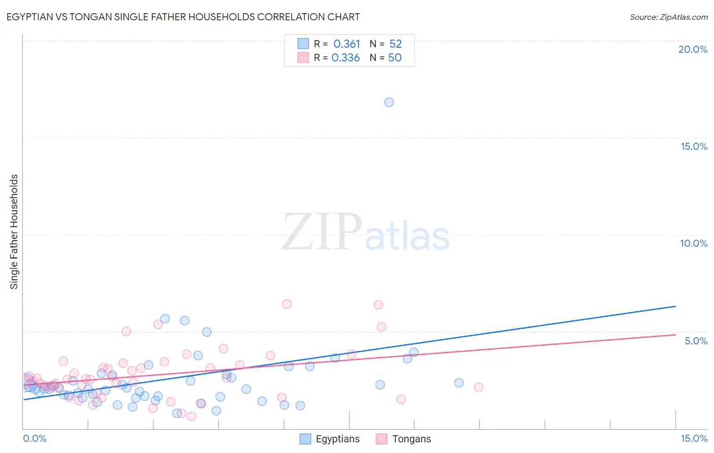 Egyptian vs Tongan Single Father Households