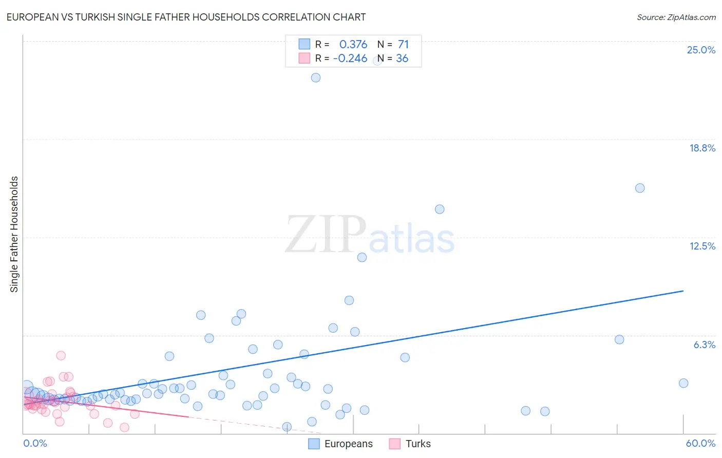 European vs Turkish Single Father Households