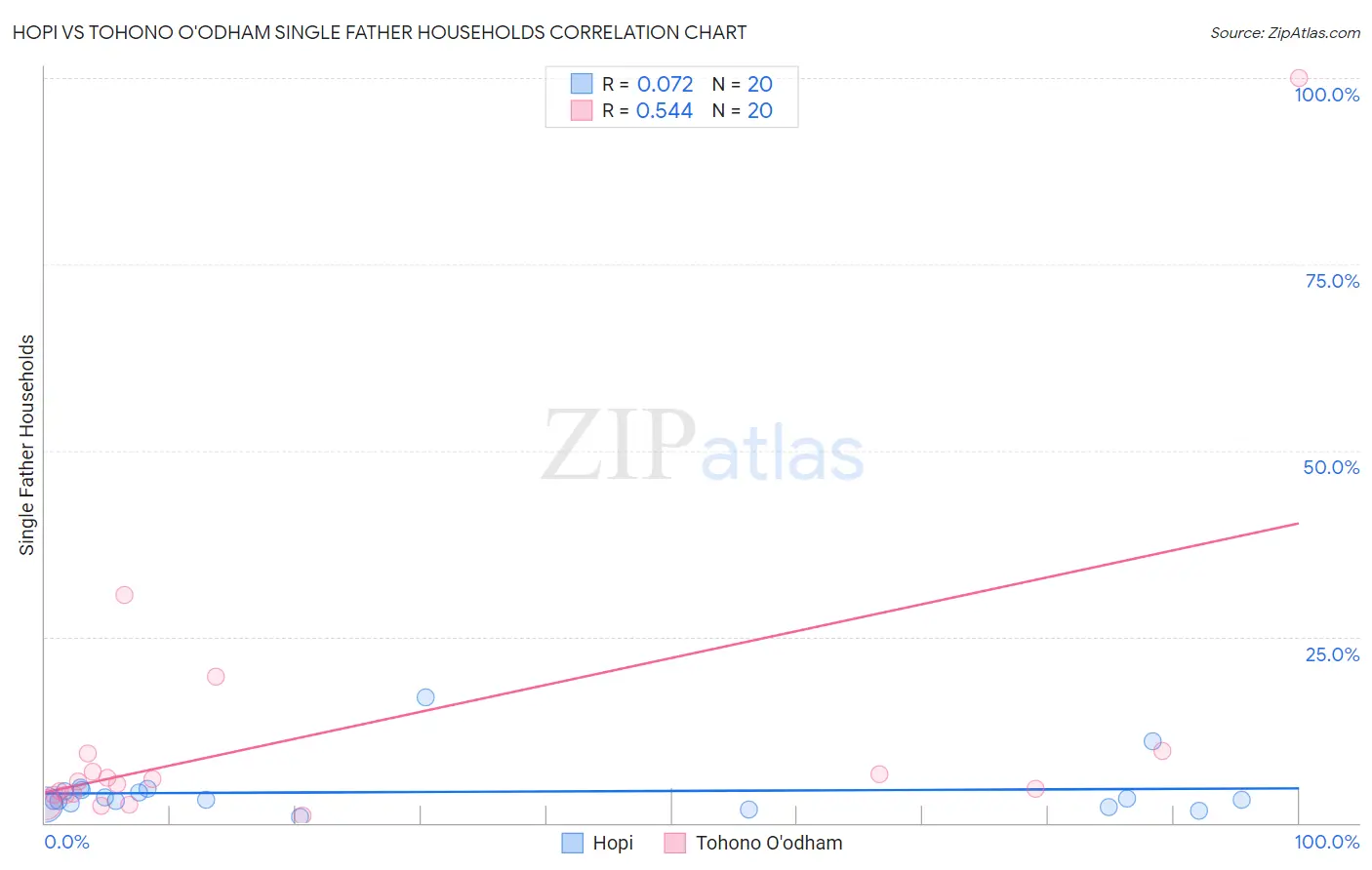 Hopi vs Tohono O'odham Single Father Households