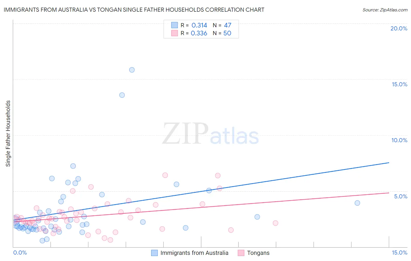 Immigrants from Australia vs Tongan Single Father Households