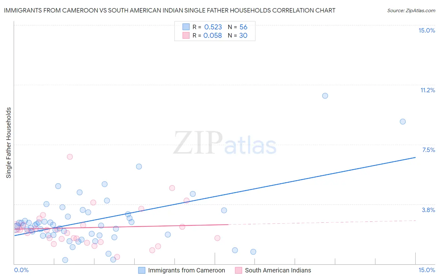 Immigrants from Cameroon vs South American Indian Single Father Households