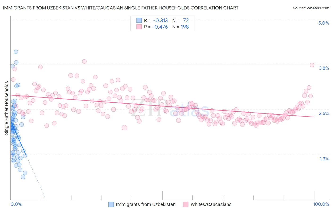 Immigrants from Uzbekistan vs White/Caucasian Single Father Households