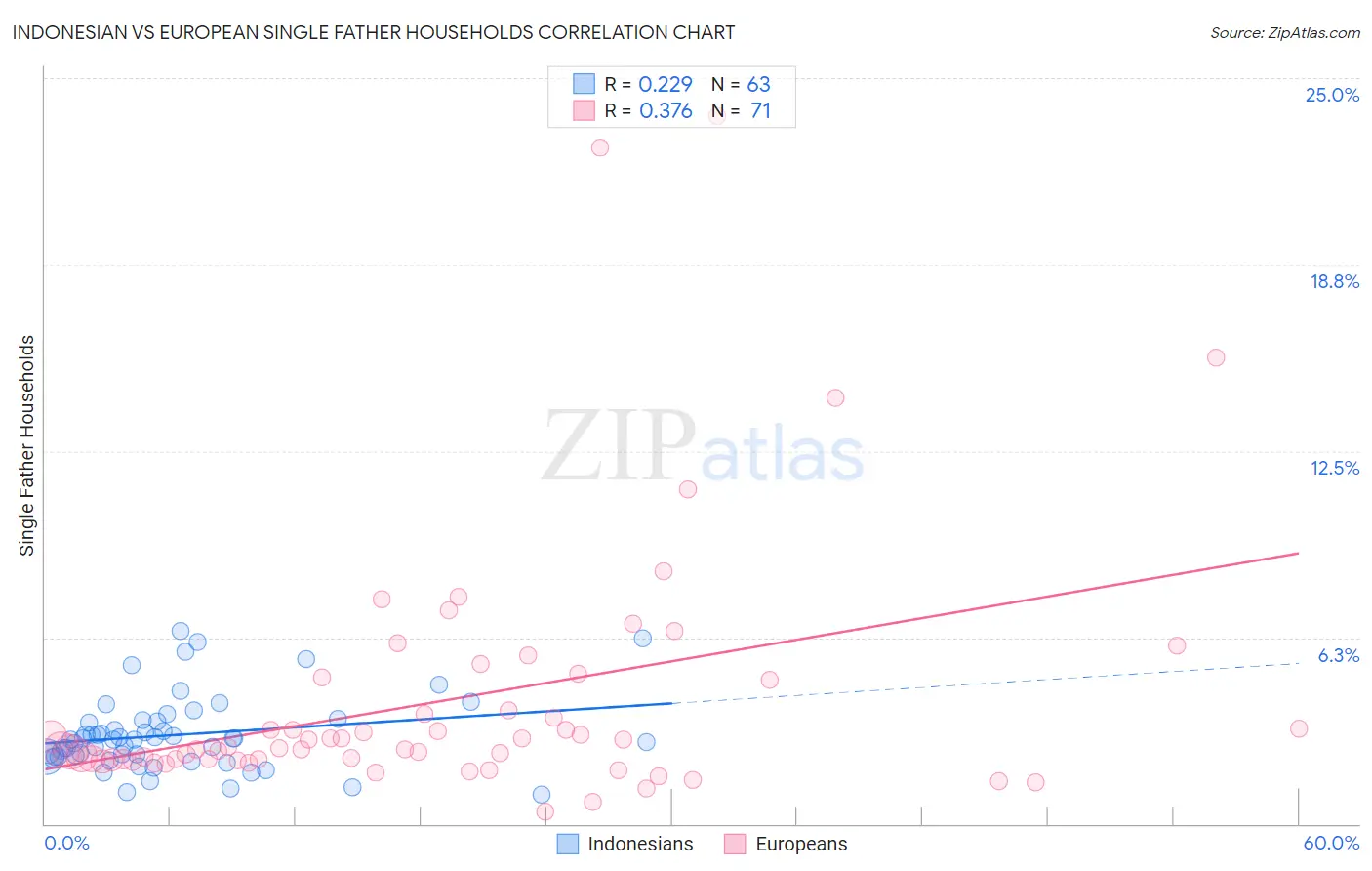 Indonesian vs European Single Father Households