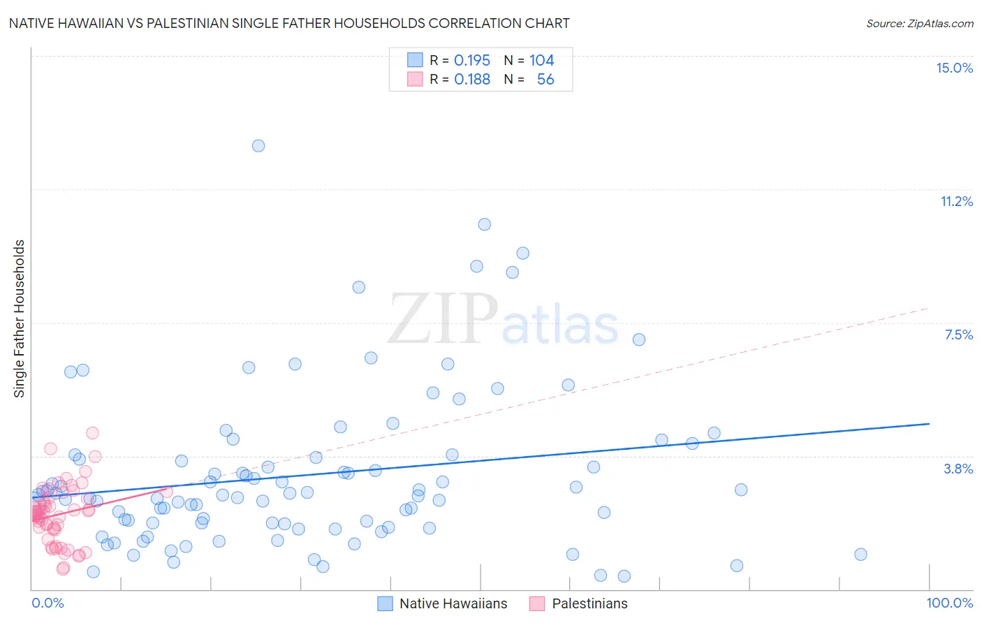 Native Hawaiian vs Palestinian Single Father Households