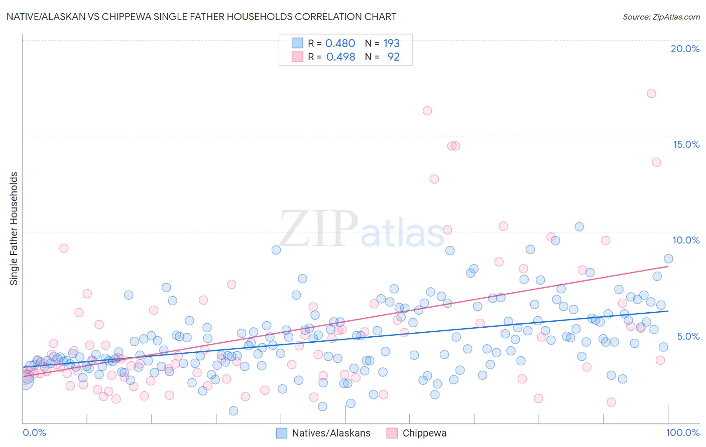 Native/Alaskan vs Chippewa Single Father Households