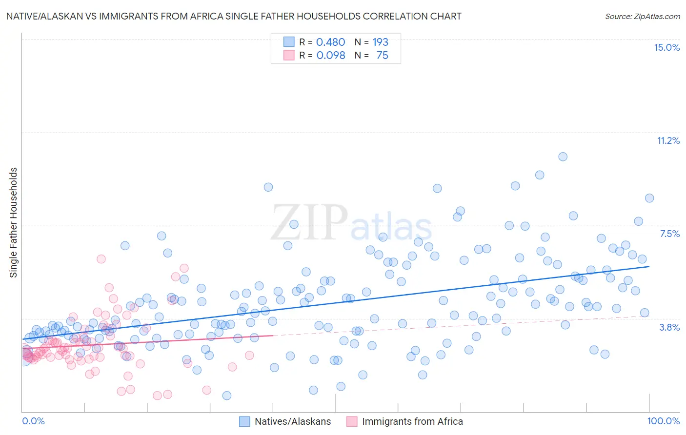 Native/Alaskan vs Immigrants from Africa Single Father Households