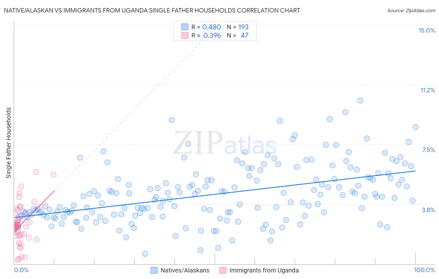 Native/Alaskan vs Immigrants from Uganda Single Father Households