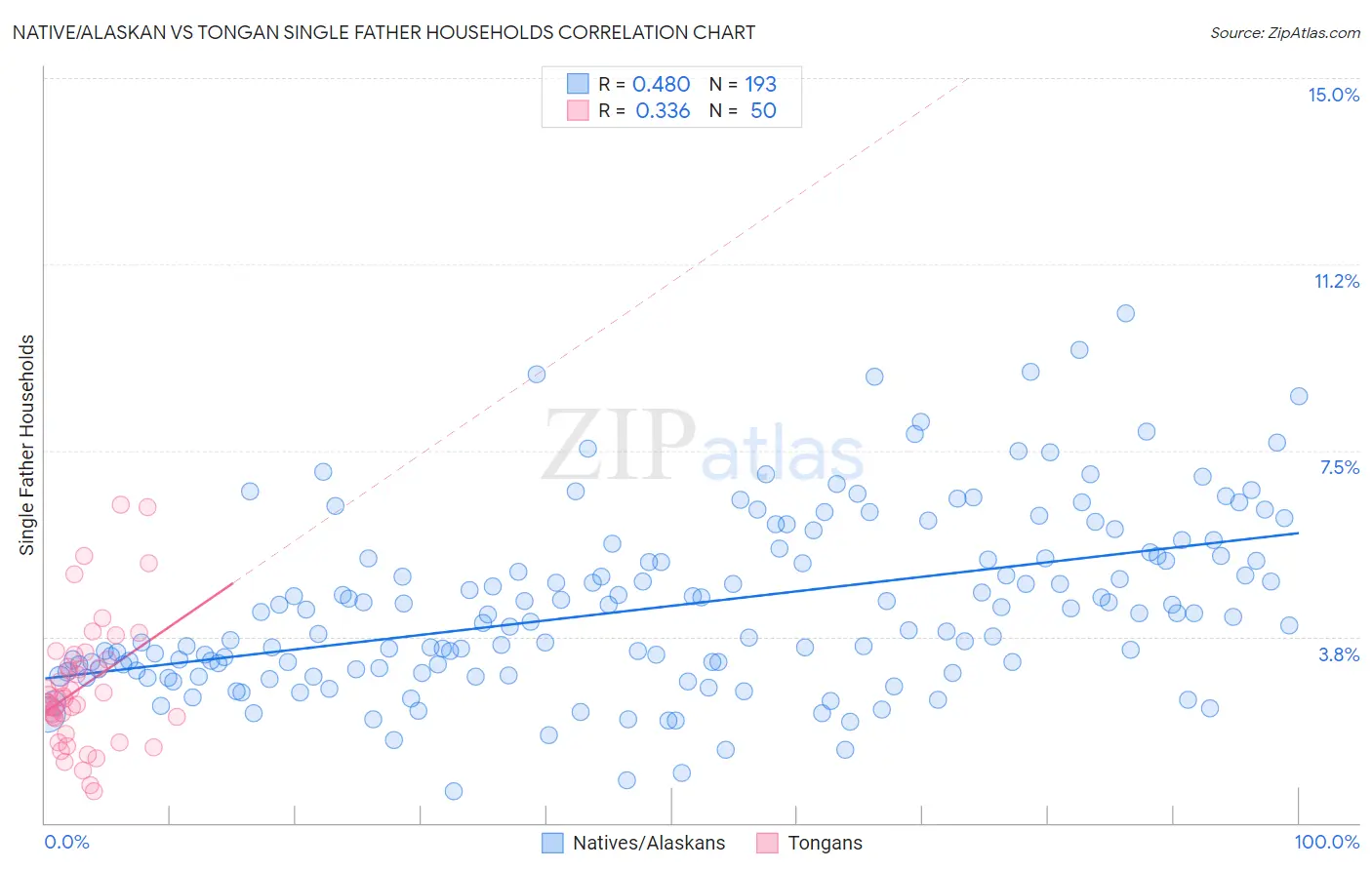 Native/Alaskan vs Tongan Single Father Households