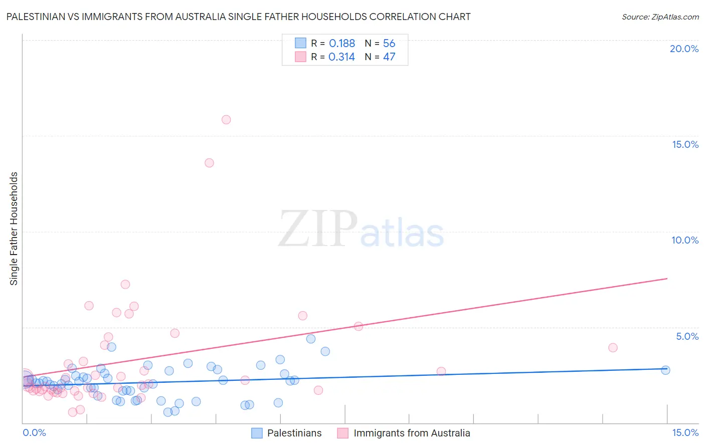 Palestinian vs Immigrants from Australia Single Father Households