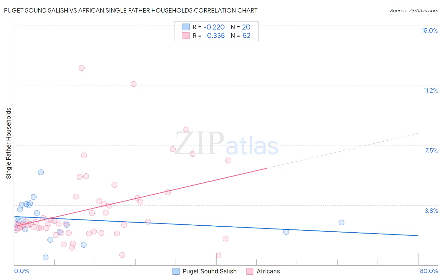 Puget Sound Salish vs African Single Father Households