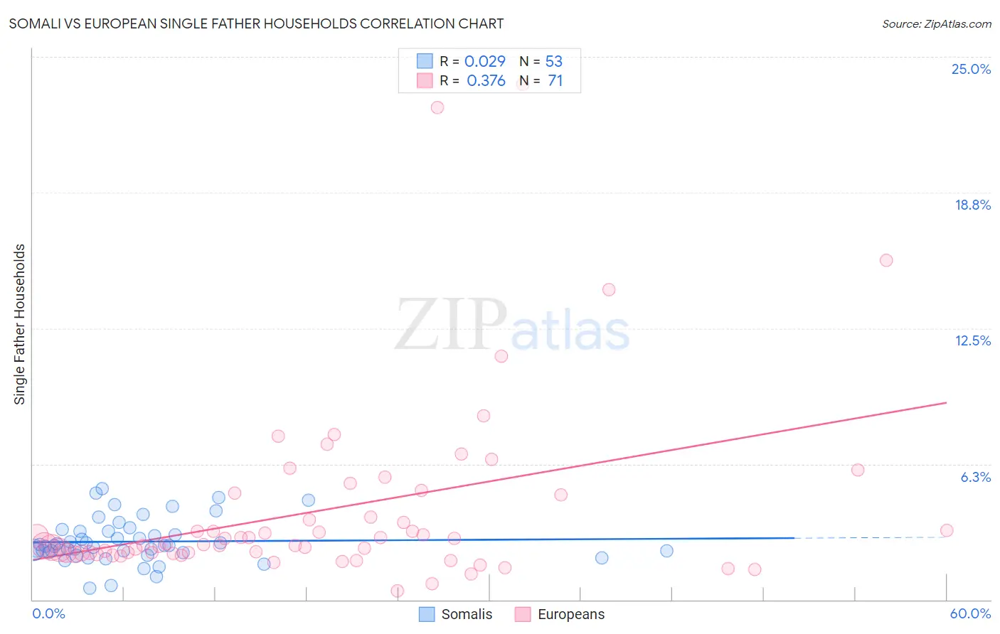 Somali vs European Single Father Households