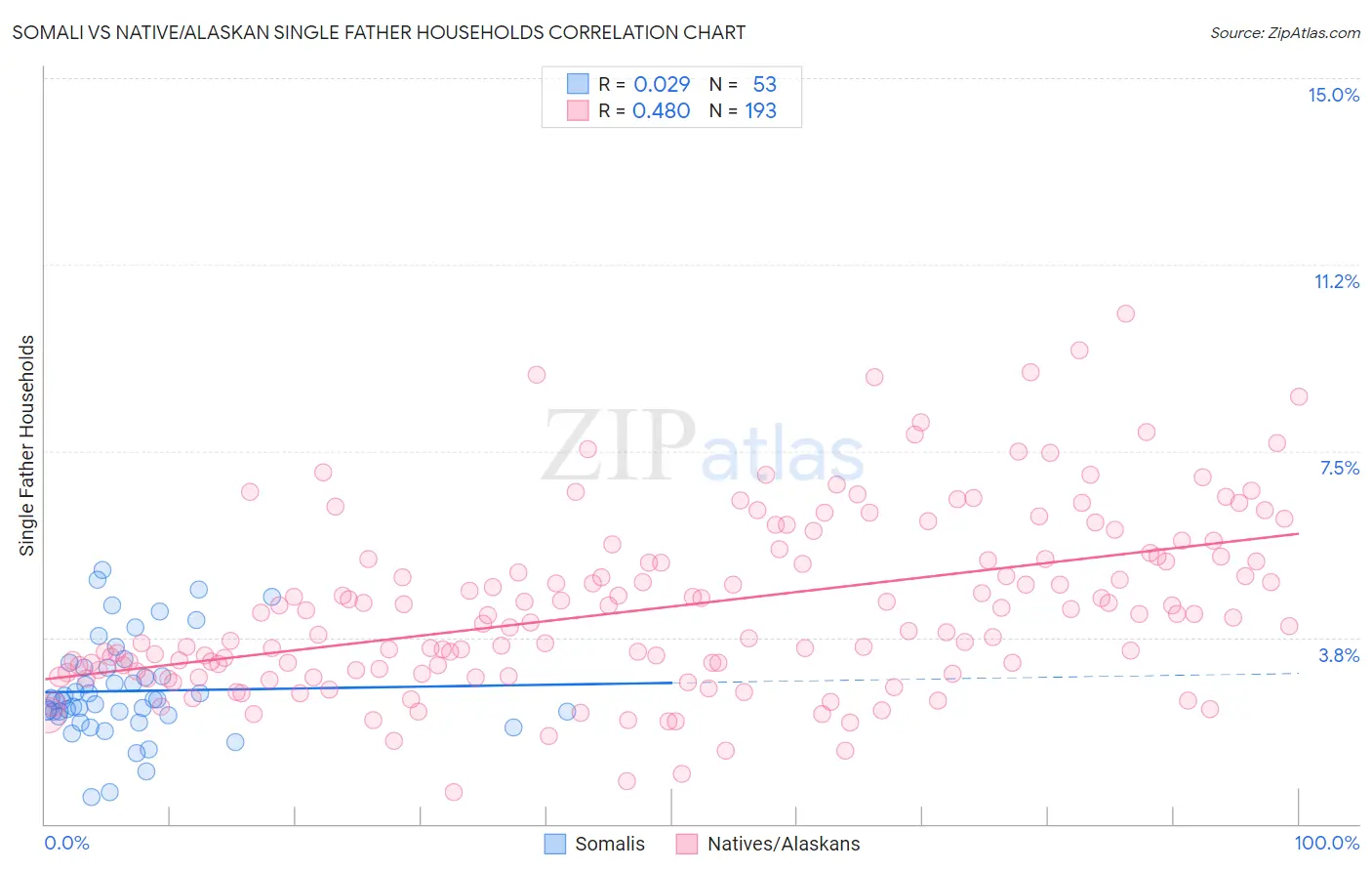 Somali vs Native/Alaskan Single Father Households