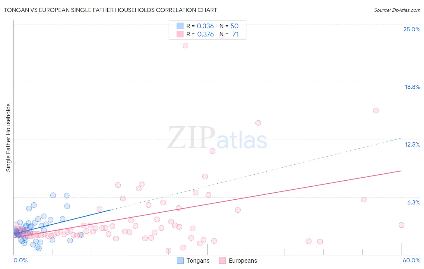 Tongan vs European Single Father Households