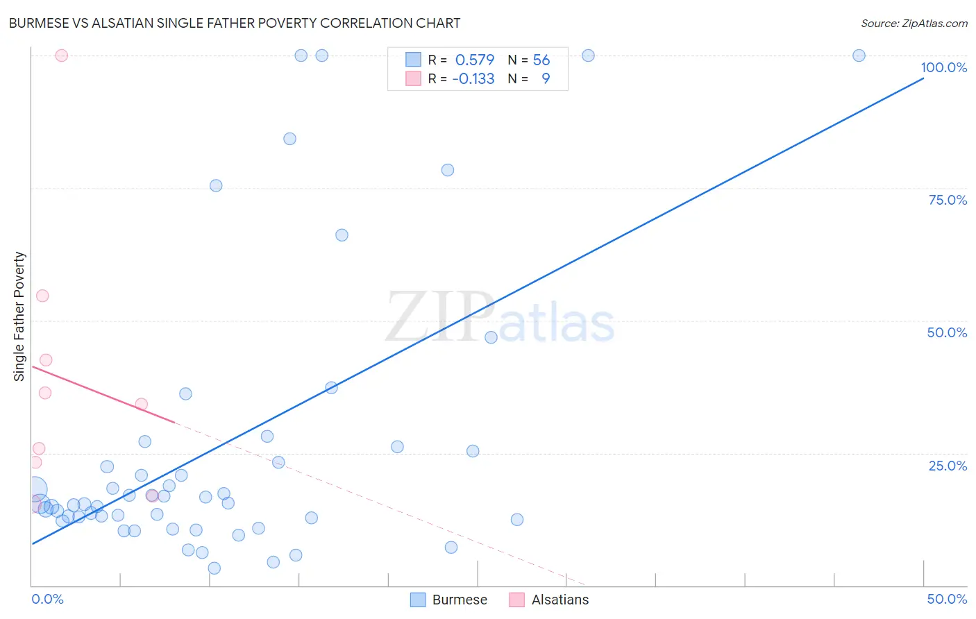 Burmese vs Alsatian Single Father Poverty