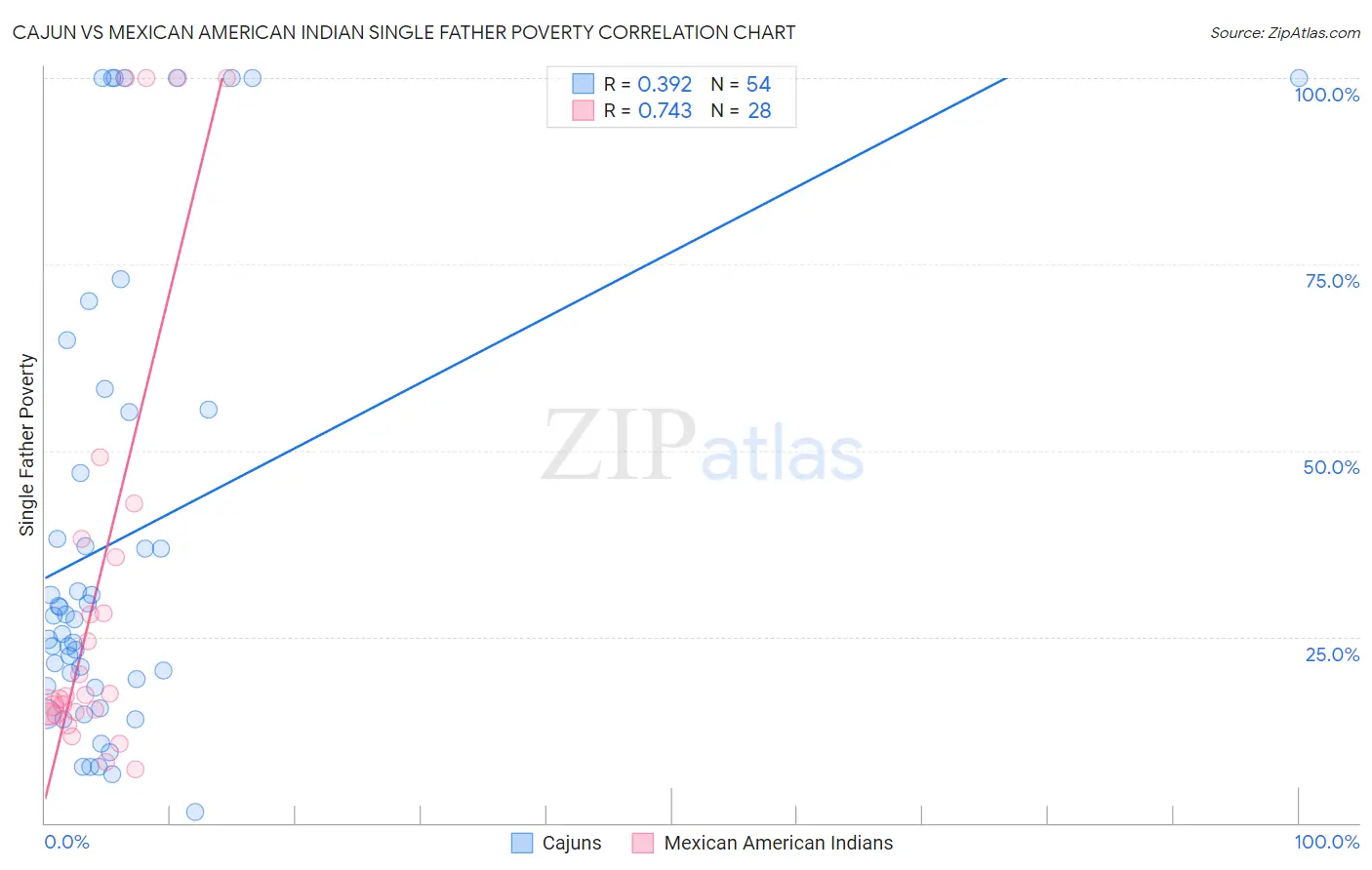 Cajun vs Mexican American Indian Single Father Poverty