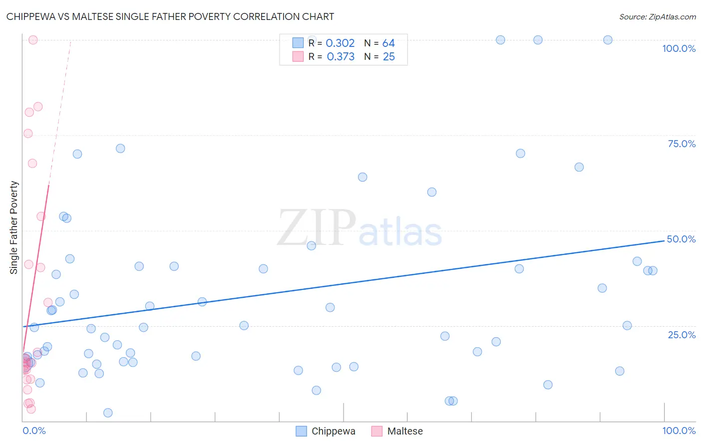 Chippewa vs Maltese Single Father Poverty