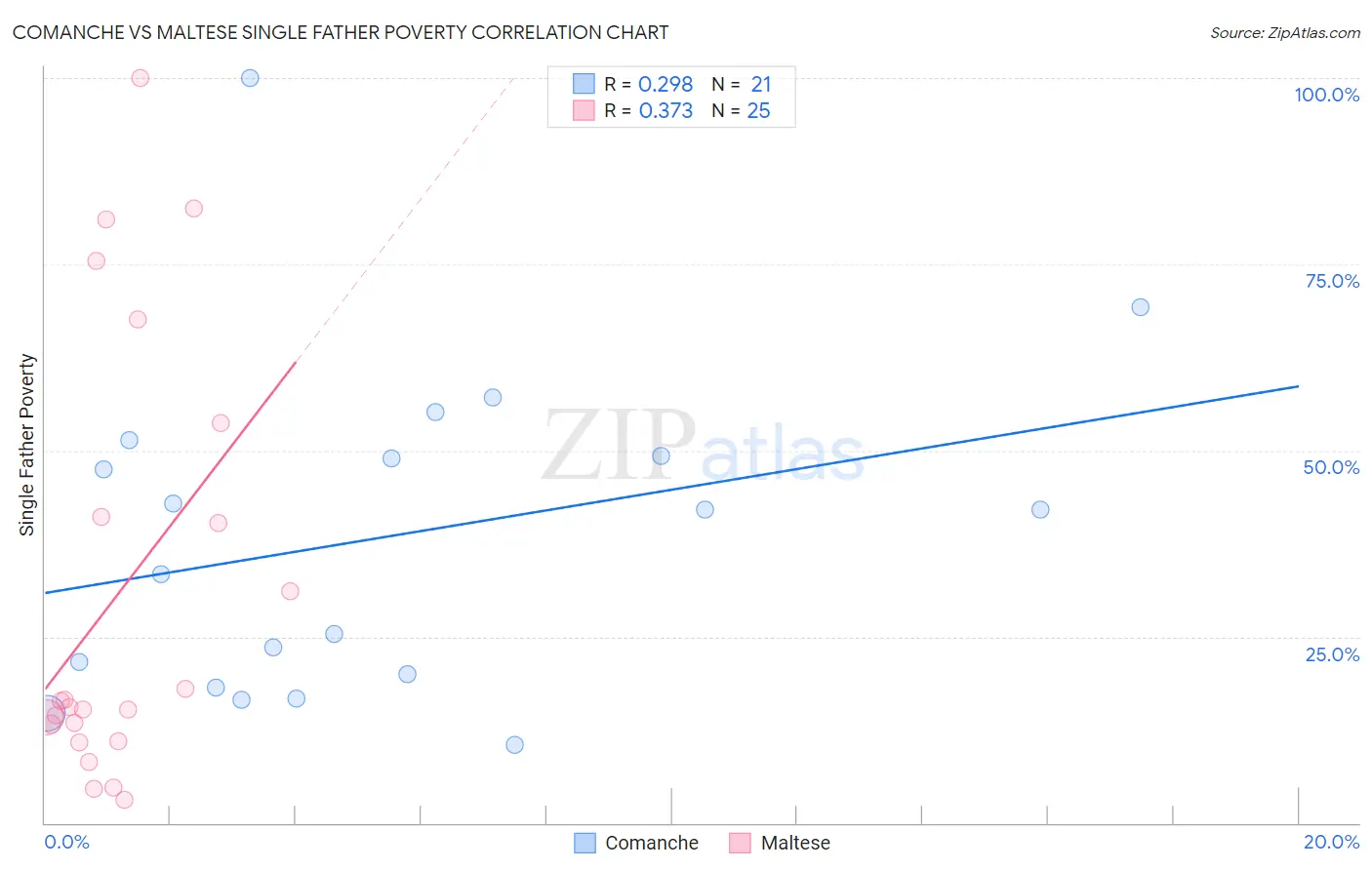 Comanche vs Maltese Single Father Poverty